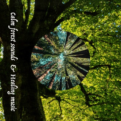 Calm forest sounds & Healing music Front Cover