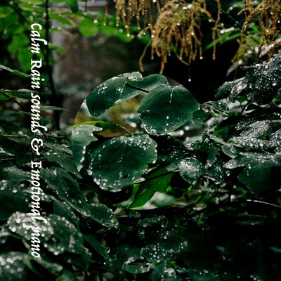 Calm Rain sounds & Emotional piano Front Cover