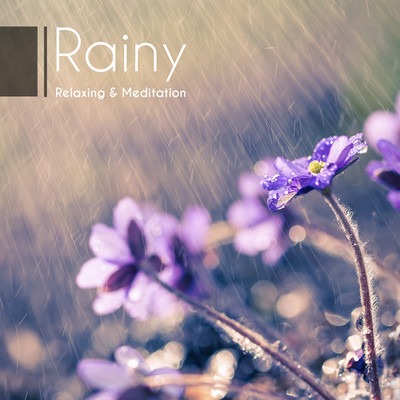 Rainy Relaxing & Meditation -Feel the nature with the sound of rain- Front Cover