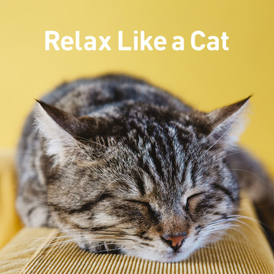 Relax Like a Cat - Relaxing BGM- Front Cover