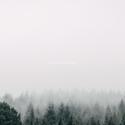 Study Relax Forest (feat. ALL BGM CHANNEL) Front Cover