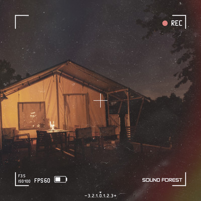 Environmental sounds Bonfire and Insect sounds at night Front Cover