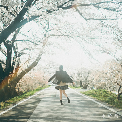 Spring rain Front Cover