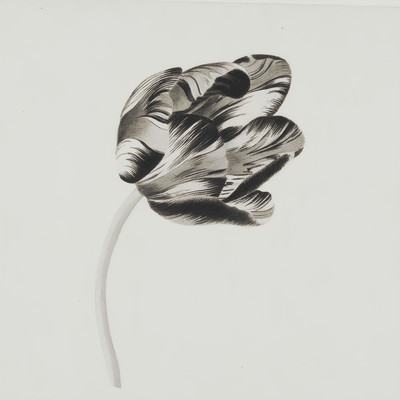 YellowFlower (2024 Mix) Front Cover