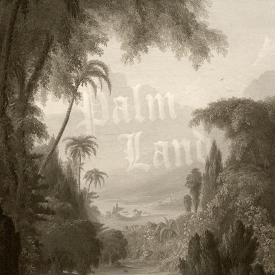 Palm Land Front Cover
