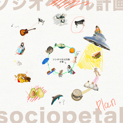 sociopetal plan Front Cover