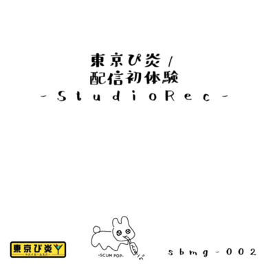 StreamVirgin (StudioRec.) Front Cover