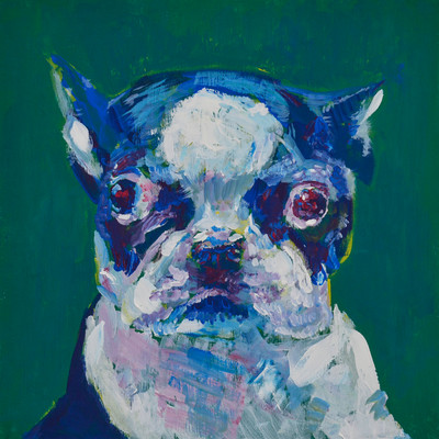 A French Bulldog Talking to Itself Front Cover