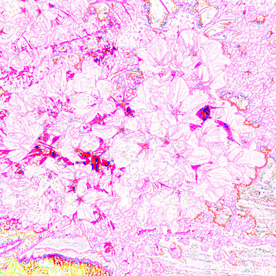 Canelé (feat. Synthesizer V AI Mai) Front Cover