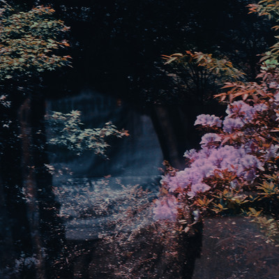 Spring night Front Cover