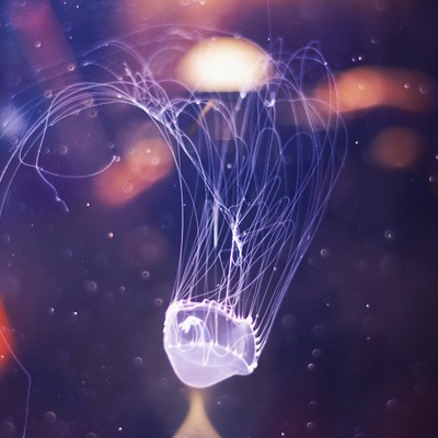 I GOT YOU ON MY MIND Front Cover