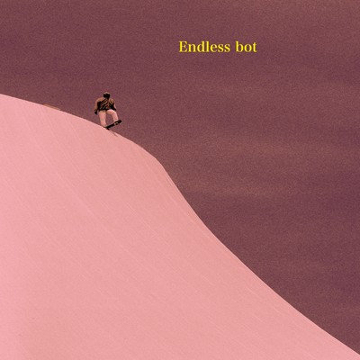 Endless bot Front Cover