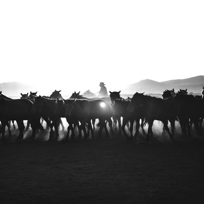 knock roundのジャケット写真