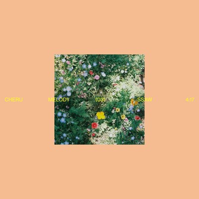 SSAW Front Cover