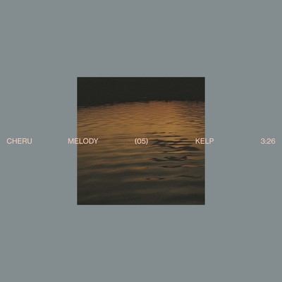 Kelp Front Cover
