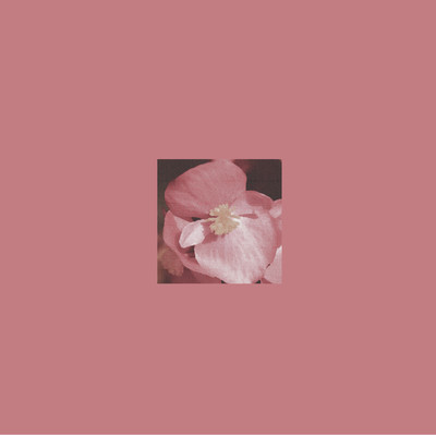 So I Pretend I Never Met Youのジャケット写真