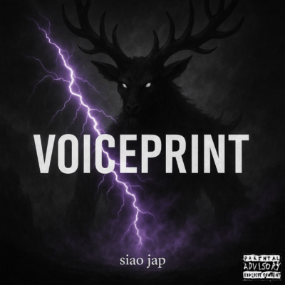 VOICEPRINT (feat. LIT) Front Cover