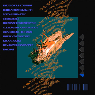 ナノカのジャケット写真