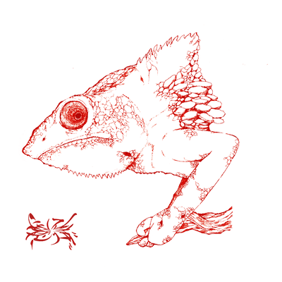 Mimesis Bug (feat. HATSUNE MIKU) Front Cover