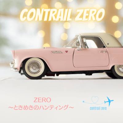 ZERO〜ときめきのハンティング〜のジャケット写真