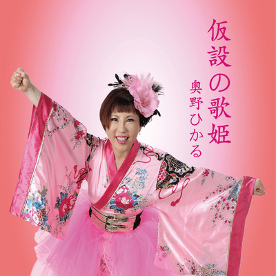 Diva of the stricken area Front Cover