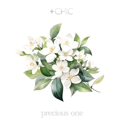 precious one Front Cover