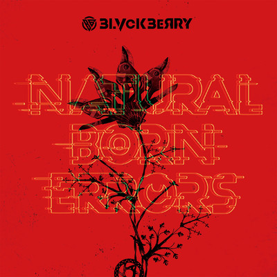 NATURAL BORN ERRORS Front Cover