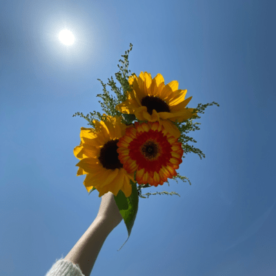 endless summer Front Cover