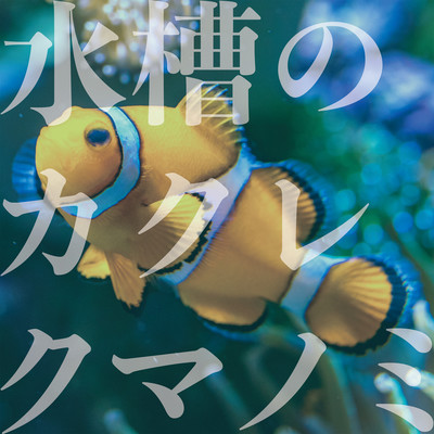 Clownfish in aquarium Front Cover