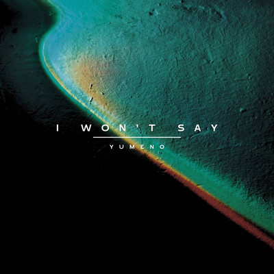 I won't say Front Cover
