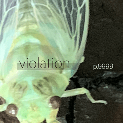 violation Front Cover