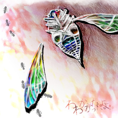 wakattayo Front Cover