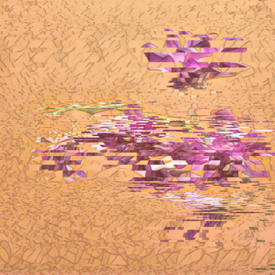 エニグマのジャケット写真