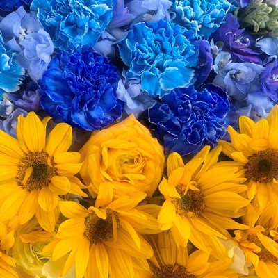 My Frends Front Cover