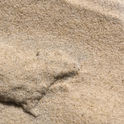 SUNAHAMAのジャケット写真