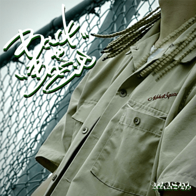 Back to the basic Front Cover