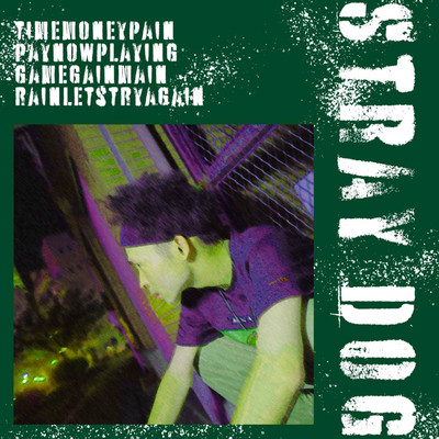 Stray Dog Front Cover