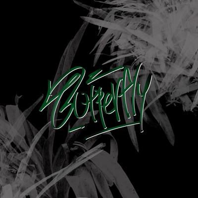 Butterfly Front Cover