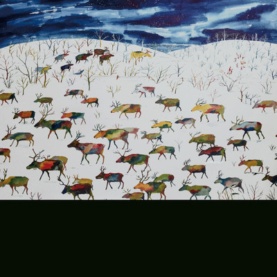 立派な浮遊霊のジャケット写真