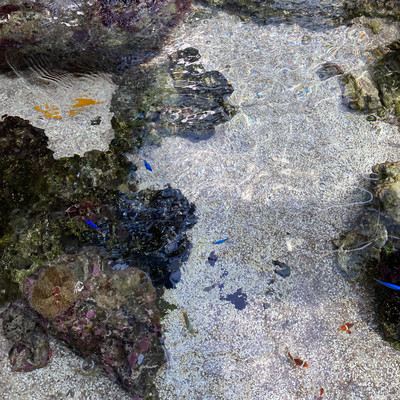 thinkのジャケット写真