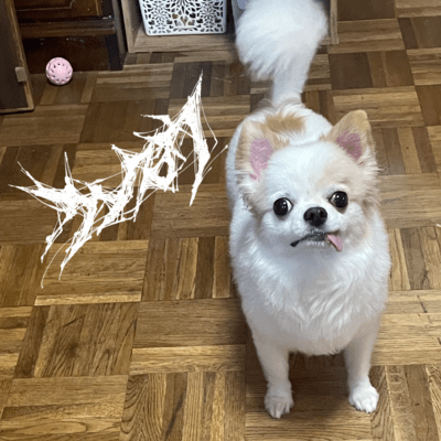 なつのおもいでのジャケット写真