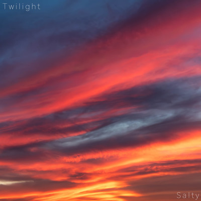 Twilight Front Cover