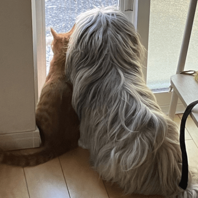 セカンドアルバムのジャケット写真