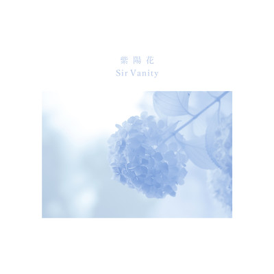 紫陽花のジャケット写真