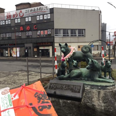 鶏めしマンのテーマのジャケット写真