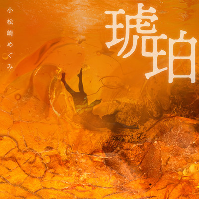 The Amber Front Cover