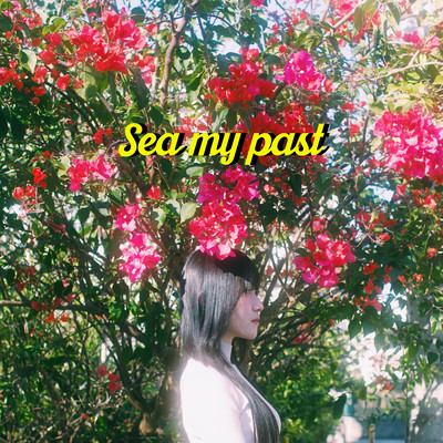 Spring snow Front Cover