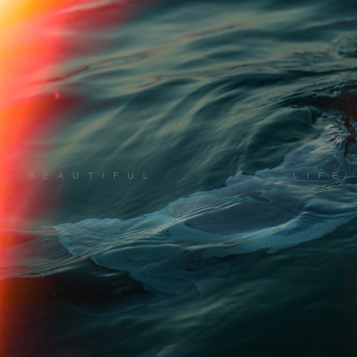 Beautiful lifeのジャケット写真