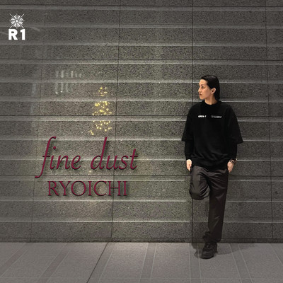 fine dust Front Cover