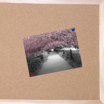 卒業ソングのジャケット写真